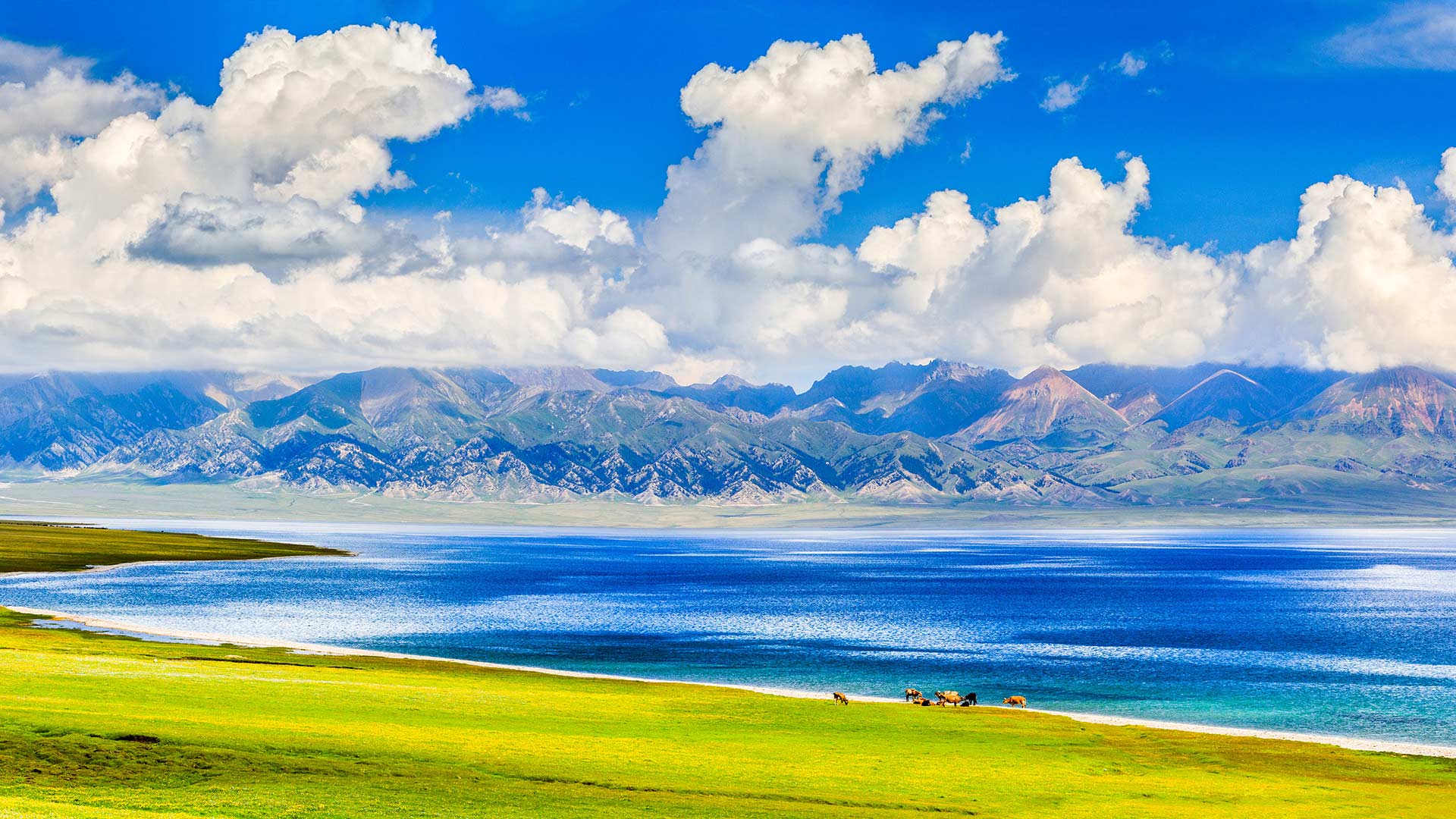 RHCSA/HCIA⑤：权限管理